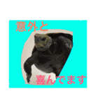 ぱんにゃ2（個別スタンプ：7）
