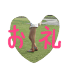 ぱんにゃ2（個別スタンプ：9）