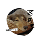 pikarin-2（個別スタンプ：7）