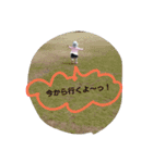 pikarin-2（個別スタンプ：12）