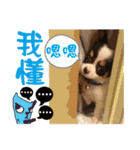 The puppies（個別スタンプ：7）