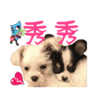 The puppies（個別スタンプ：11）