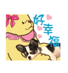 The puppies（個別スタンプ：14）