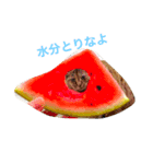あきちゃああん（個別スタンプ：1）