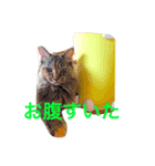 あきちゃああん（個別スタンプ：2）