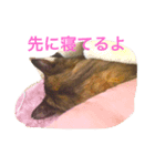 あきちゃああん（個別スタンプ：3）