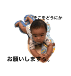 Baby joe part2（個別スタンプ：2）