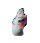 毒舌わんわんお（個別スタンプ：3）