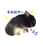 キャスうさぎ（個別スタンプ：9）