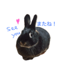 キャスうさぎ（個別スタンプ：14）