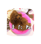 モカちゃん(♂)2（個別スタンプ：12）