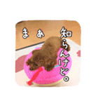 モカちゃん(♂)2（個別スタンプ：26）