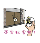 Eggshell is the thing-in-itself（個別スタンプ：11）