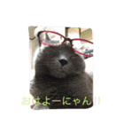 シャルトリューのりゅうちぇる2（個別スタンプ：11）