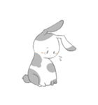 Rabbits daily（個別スタンプ：1）