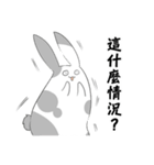 Rabbits daily（個別スタンプ：23）