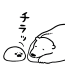 ボイスつき☆「恋するシロクマ」（個別スタンプ：23）