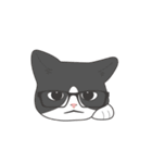 A cat with spectacles（個別スタンプ：16）