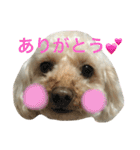 もこもこ✴︎たいむ②.（個別スタンプ：1）