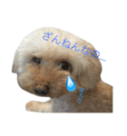もこもこ✴︎たいむ②.（個別スタンプ：2）