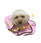 もこもこ✴︎たいむ②.（個別スタンプ：3）