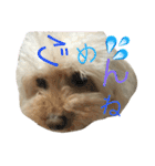 もこもこ✴︎たいむ②.（個別スタンプ：4）