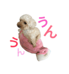 もこもこ✴︎たいむ②.（個別スタンプ：7）