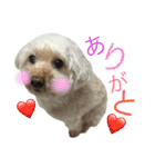 もこもこ✴︎たいむ②.（個別スタンプ：21）