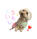 もこもこ✴︎たいむ②.（個別スタンプ：22）