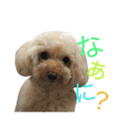 もこもこ✴︎たいむ②.（個別スタンプ：25）