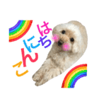 もこもこ✴︎たいむ②.（個別スタンプ：28）