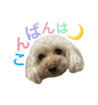もこもこ✴︎たいむ②.（個別スタンプ：30）
