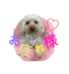 もこもこ✴︎たいむ②.（個別スタンプ：32）