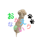 もこもこ✴︎たいむ②.（個別スタンプ：34）