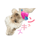 もこもこ✴︎たいむ②.（個別スタンプ：36）