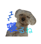 もこもこ✴︎たいむ②.（個別スタンプ：38）