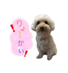 もこもこ✴︎たいむ②.（個別スタンプ：39）