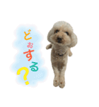 もこもこ✴︎たいむ②.（個別スタンプ：40）