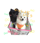 ひめちやんズ（個別スタンプ：5）