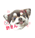ひめちやんズ（個別スタンプ：8）