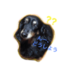 ひめちやんズ（個別スタンプ：12）