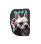 みかん姫（個別スタンプ：1）