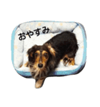 はなっちょ（個別スタンプ：4）