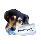 はなっちょ（個別スタンプ：5）