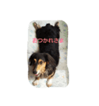 はなっちょ（個別スタンプ：9）