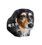 はなっちょ（個別スタンプ：11）