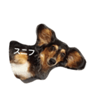 はなっちょ（個別スタンプ：18）