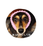 はなっちょ（個別スタンプ：20）