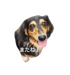 はなっちょ（個別スタンプ：22）