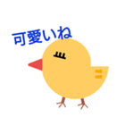 chick..（個別スタンプ：5）